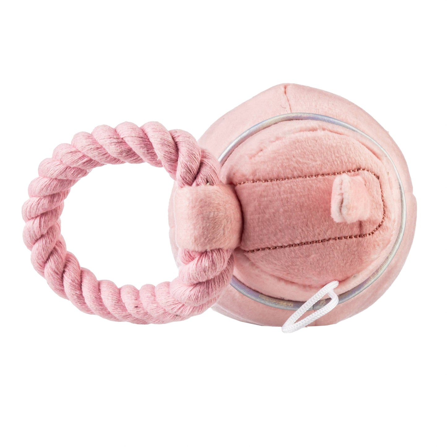 Pawlates Princess Water Bottle | Squeaker Dog Toy