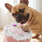 Birthday Girl Toy  | Squeaker Dog Toy