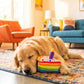 Birthday Cake Slice  | Squeaker Dog Toy