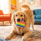 Birthday Cake Slice  | Squeaker Dog Toy